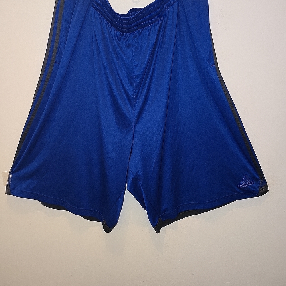 Adidas Blue Athletic Shorts